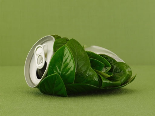 Programul de Ecologizare a Întreprinderilor Mici și Mijlocii